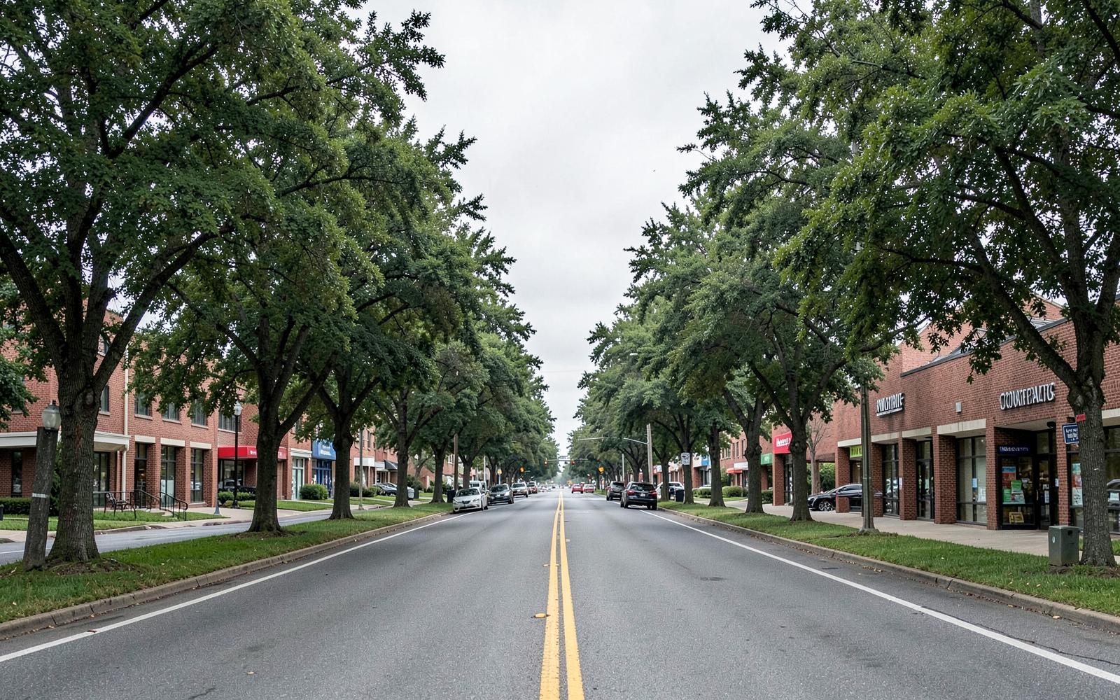 Tree-lined four-lane connector road with low brick office and retail buildings in south Charlotte on an overcast day