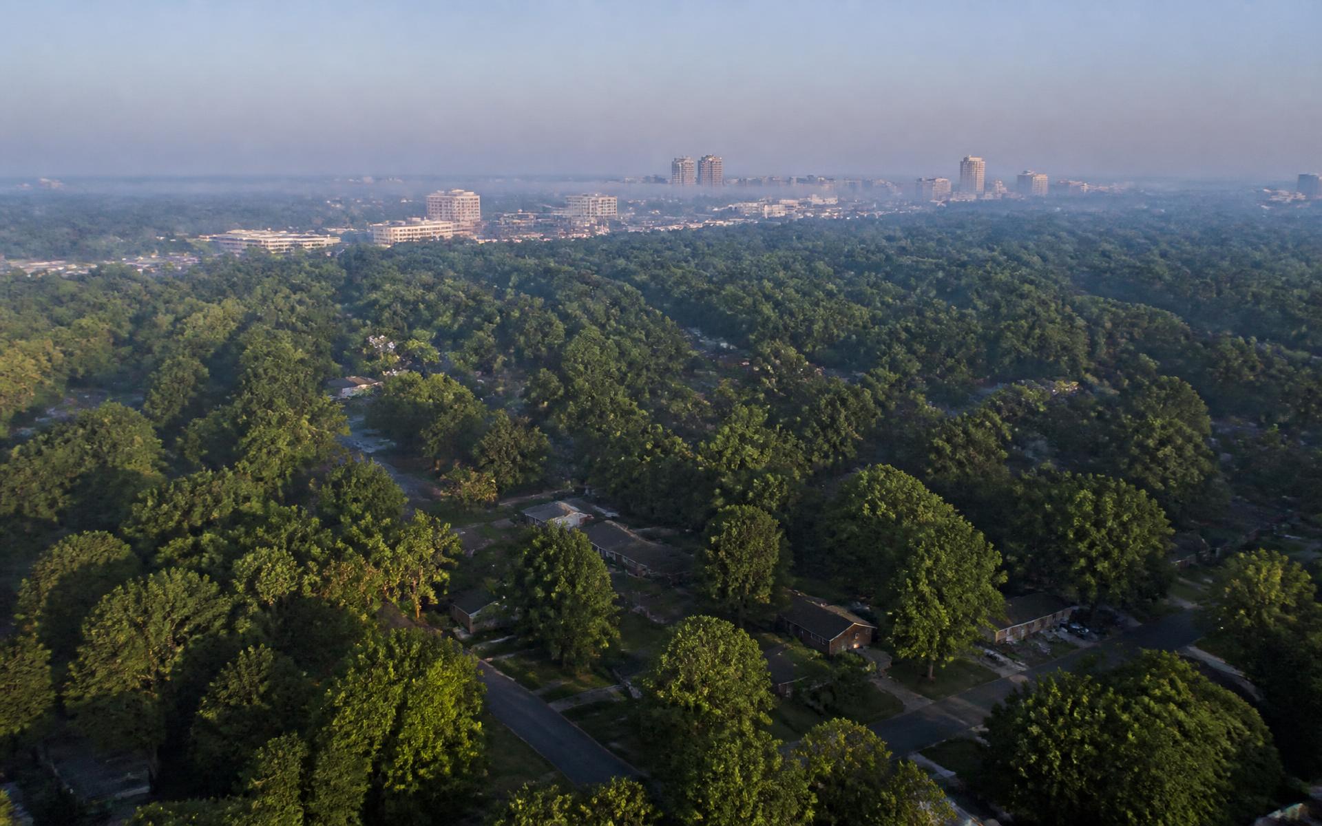 Aerial view of dense tree canopy over curving residential streets with the SouthPark skyline in the distance, Charlotte, North Carolina